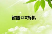 智器t20拆机