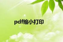 pdf缩小打印