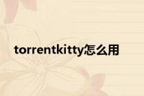 torrentkitty怎么用