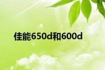 佳能650d和600d