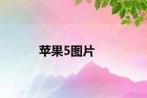 苹果5图片