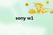 sony w1