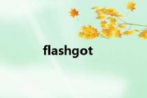 flashgot