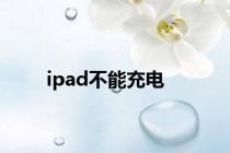 ipad不能充电