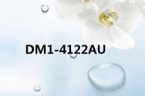 DM1-4122AU